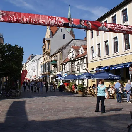 Papagei In Der Schweriner Altstadt - Abc569